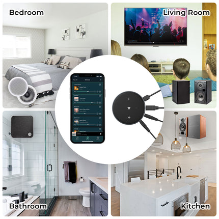 Wiim Mini WiFi &amp; Bluetooth Receiver 5.2 Wireless Audio