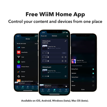 WiiM Pro AirPlay2 беспроводной WiFi Bluetooth аудиоресивер 