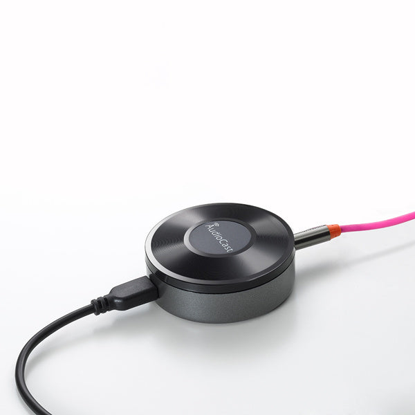 Беспроводной Wi-Fi музыкальный аудиостример AudioCast M5