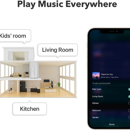 WiiM Pro Plus AirPlay2 Receiver Многокомнатный WiFi-стример
