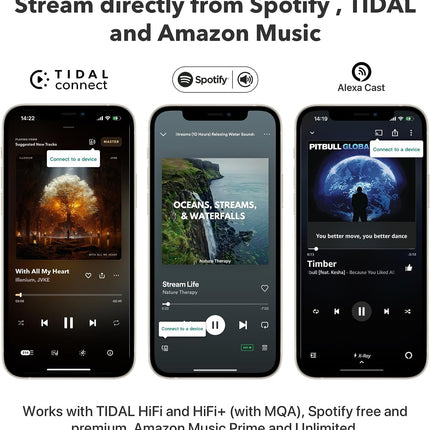 WiiM Pro Plus AirPlay2 Receiver Многокомнатный WiFi-стример