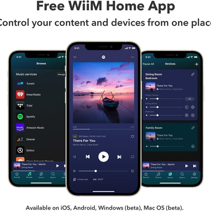 WiiM Pro Plus AirPlay2 Receiver Многокомнатный WiFi-стример