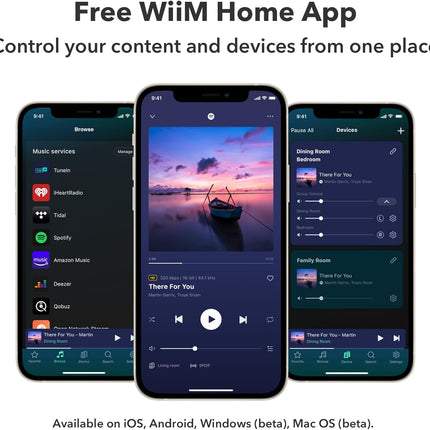 WiiM Amp &amp; Amp Pro: многокомнатный потоковый усилитель
