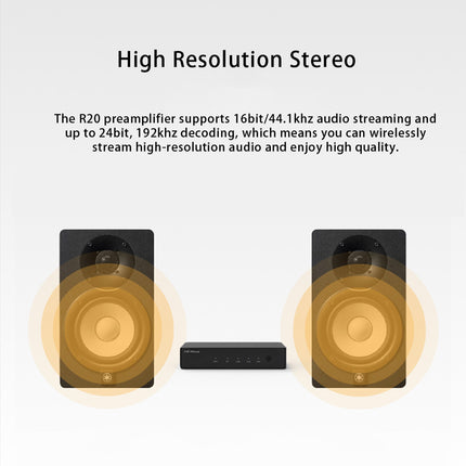 Беспроводной Bluetooth-аудиоресивер HiFiMuse R20
