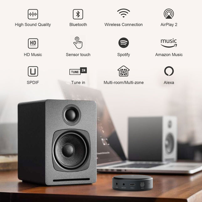 Wiim Mini WiFi &amp; Bluetooth Receiver 5.2 Wireless Audio