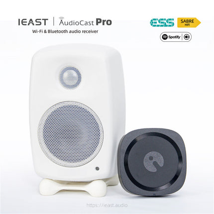 IEAST AudioCast Pro M20 Беспроводной WiFi-аудиоресивер с поддержкой Bluetooth для нескольких комнат