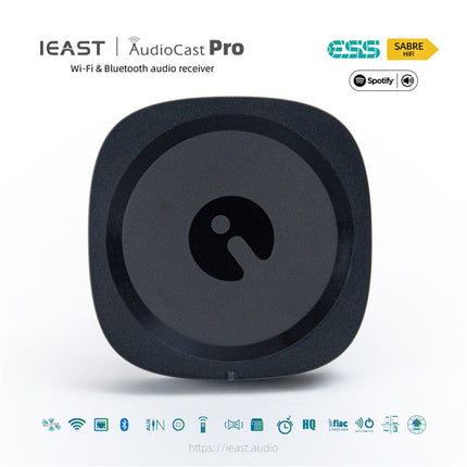 IEAST AudioCast Pro M20 Беспроводной WiFi-аудиоресивер с поддержкой Bluetooth для нескольких комнат