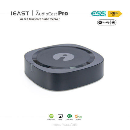 IEAST AudioCast Pro M20 Беспроводной WiFi-аудиоресивер с поддержкой Bluetooth для нескольких комнат