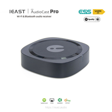 IEAST AudioCast Pro M20 Беспроводной WiFi-аудиоресивер с поддержкой Bluetooth для нескольких комнат