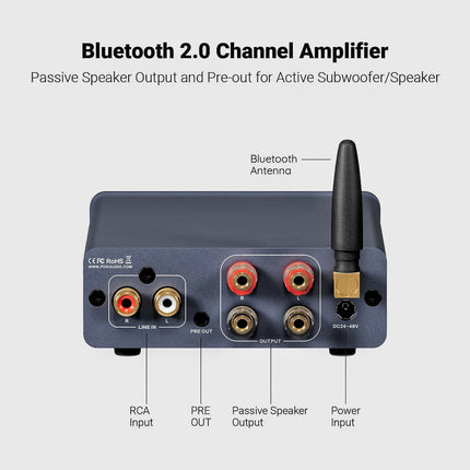 Fosi Audio BT20A PRO  32V/48V