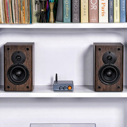 Fosi Audio BT20A PRO  32V/48V